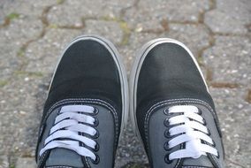 Vans shoes