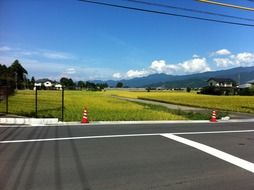 road near a rural field