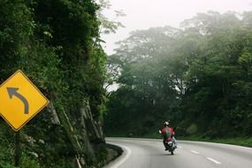 motorcyclist on the road among green trees