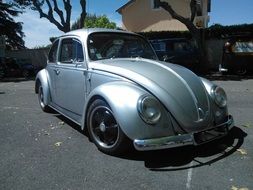 gray Volkswagen as a ladybug