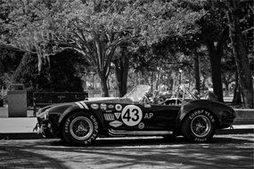 shelby cobra, vintage race car on street