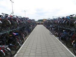 bicycle racks, netherlands, delft