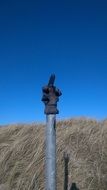 unusual road sign in the shape of the finger