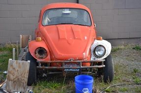 retro car beetle in the garden