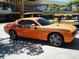 orange car stands in the shade of a tree