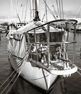 moored sailing boat in port, black and white