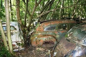 auto rust