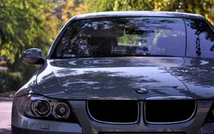 a car stands under the trees