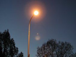 street lamp at evening sky above tree tops