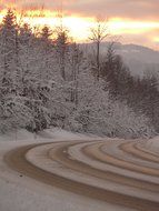 turn on the road near the forest