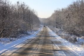 Winter road among the forest
