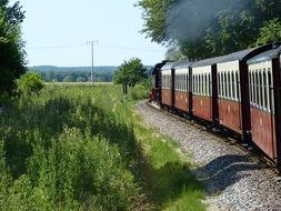 train on the track among the greenery