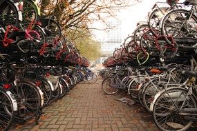 bike netherlands