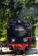 locomotive near a tree in mecklenburg