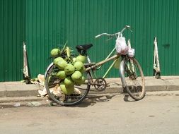 coconut bicycle