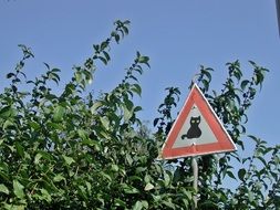 road sign with a black cat