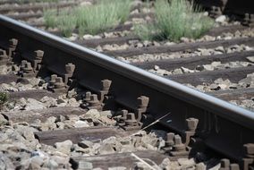 grass on railway tracks close-up