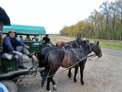 horse-drawn carts in Hungary