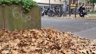autumn leaves fall and text 666