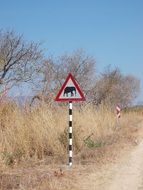 "Elephant" sign on the road in South Africa