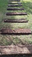 Wooden logs on a lawn