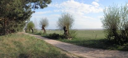 Trail in the spring