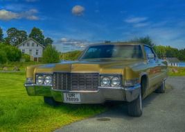 cadillac stands on green grass