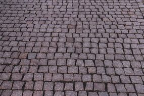 stone pavement closeup