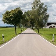 road avenue with trees Germany