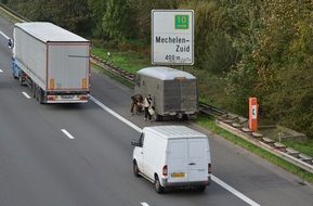 cars on the autostrade