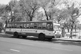 black and white photo of the transportation
