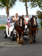 walking carriage with tourists