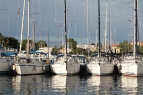 white sailboats in harbor