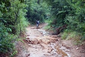 Motorcycle in the jungle