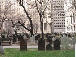 cemetery, new york