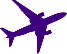 purple silhouette of a plane on a white background