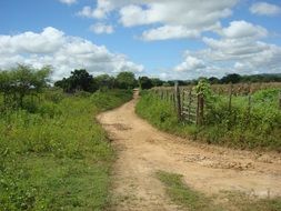 country road among green meadows in the countryside