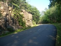 empty road in national park