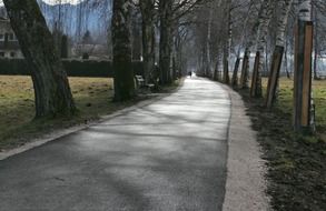 paved alley in the park