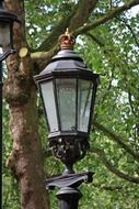 street vintage lamp