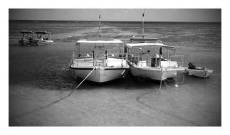 boats on the shore in black and white background