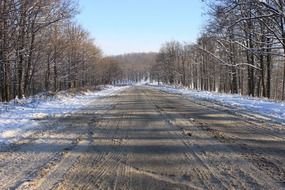 Snow-covered road in the middle of the forest