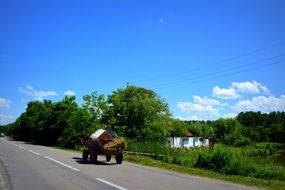 cart with a horse on the road