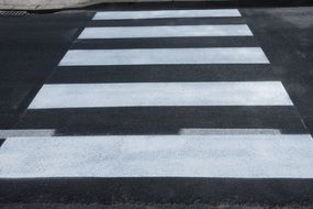 zebra on the road like a pedestrian crossing