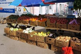 fruit boxes on the counter market