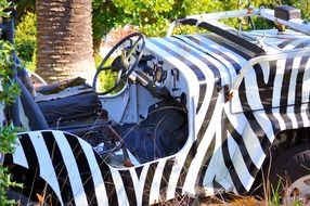 jeep like a zebra