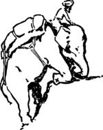 drawing of a man riding an elephant