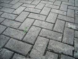 paving block cement