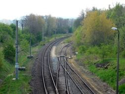 railway among the trees