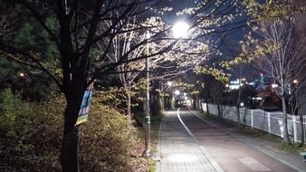walking street at night